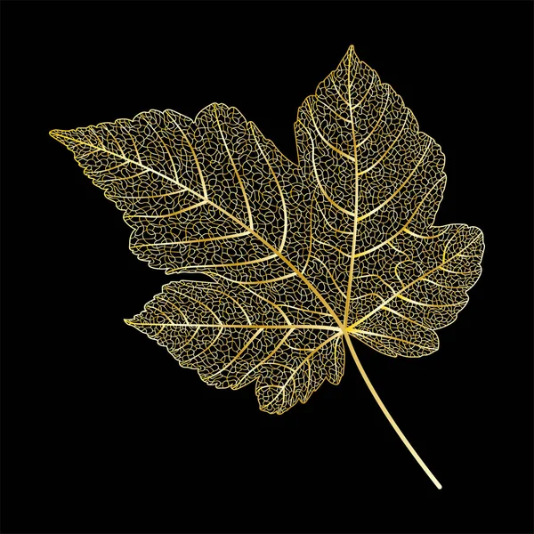 Leaf Maple Leaves Isolated Black Background — Stockvector