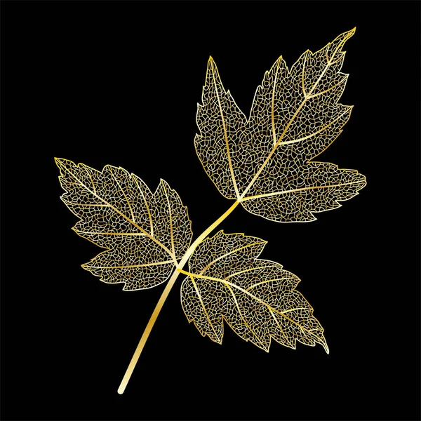 被黑色背景隔离的秋天叶子 — 图库矢量图片