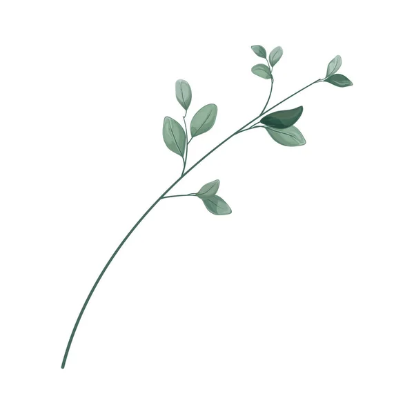 Branch Tree Leaves Flowers Isolated White Background — Διανυσματικό Αρχείο
