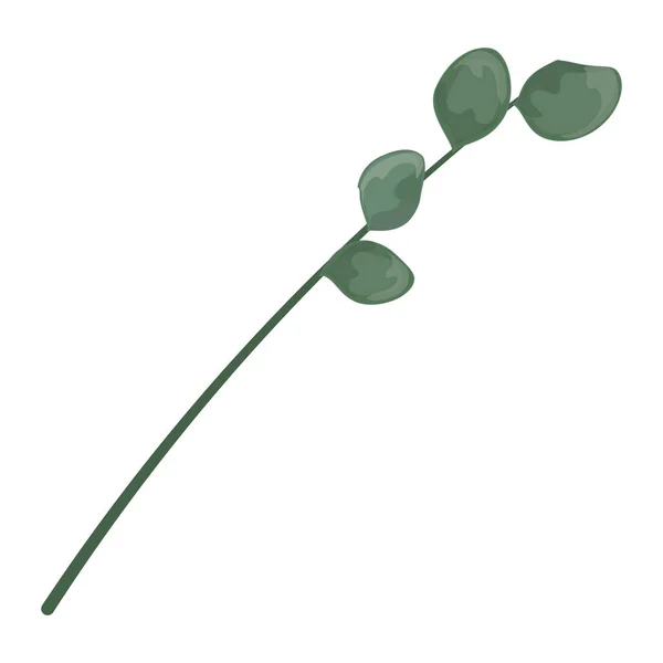 Vector Illustration Green White Rose — Stockvektor