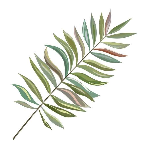 Green Leaves Palm Tree Isolated White Background Vector Illustration — Stockvektor