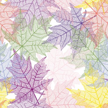 Farklı sonbahar yapraklarına sahip renkli arkaplan