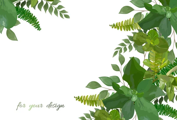 Grüne Blätter Eines Baumes Mit Rahmen Auf Weißem Hintergrund — Stockvektor