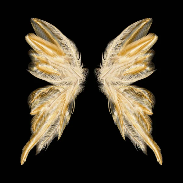 Beautiful Butterfly Wings Isolated Black Background — Vetor de Stock
