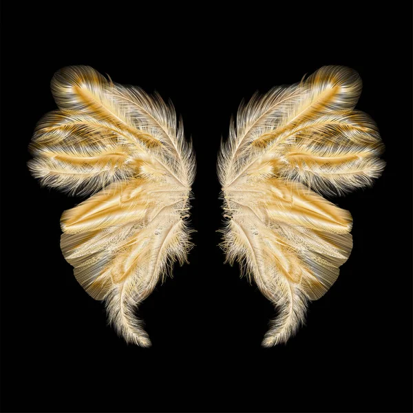 Beau Papillon Sur Fond Noir — Image vectorielle