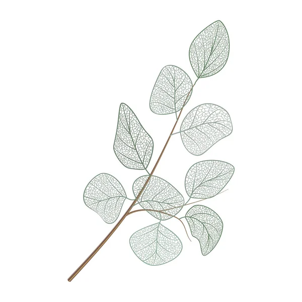 Vector Illustration Green Leaves Isolated White Background — Stok Vektör