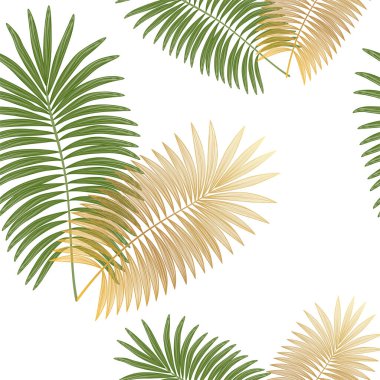 Tropik palmiye yaprakları pürüzsüz olur. Vektör illüstrasyonu