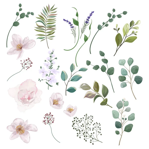 Set Von Aquarell Floralen Elementen Handgezeichnete Illustration — Stockvektor