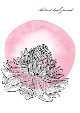 Elle çizilmiş suluboya bir gül çiçeğinin çizimi.