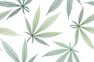 Kenevir yaprağı deseni. Esrar ve kenevir. vektör illüstrasyonu