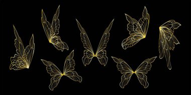 butterfly of butterflies on black background