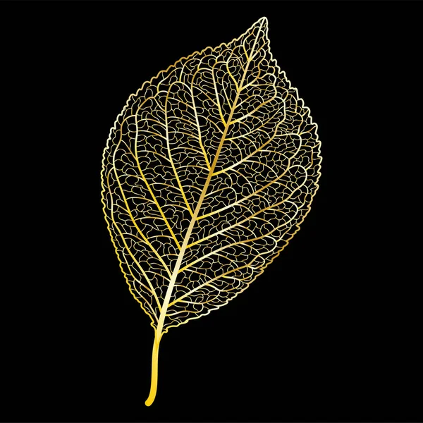 Herbstblätter Isoliert Auf Schwarzem Hintergrund — Stockvektor