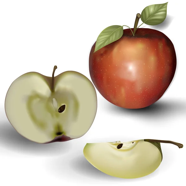 Ilustracja Wektorowa Ikony Jabłka Liścia — Wektor stockowy
