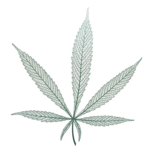 Cannabisblad Geïsoleerd Witte Achtergrond — Stockvector