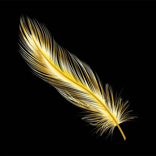 Plume Sur Fond Noir — Image vectorielle