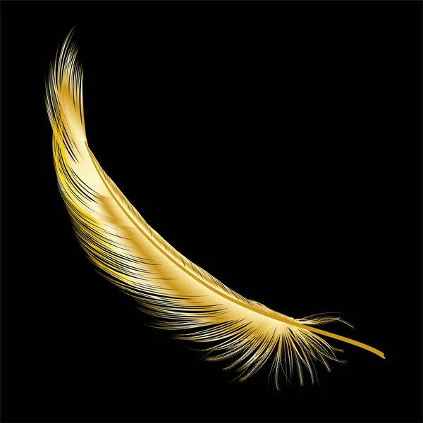 100,000 Gold feather Vector Images