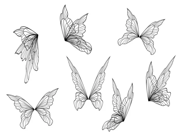 Set Hand Drawn Feathers Sketch Vector Illustration — 스톡 벡터