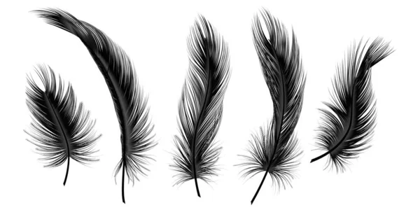 Set Black Feather Isolated White Background Vector Illustration - Stok Vektor