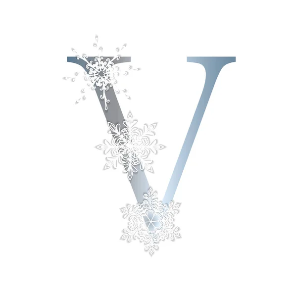 Alphabet Winter Style Letter Snowflakes Vector Illustration — Stockový vektor