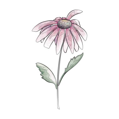 Çiçekleri ve yaprakları olan güzel botanik bahçesi, vektör illüstrasyonu