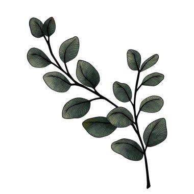Bir bitkinin dalının vektör illüstrasyonu