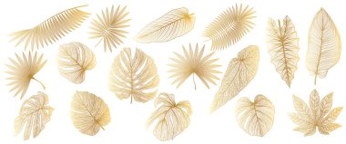 set of tropical leaves, watercolor illustration