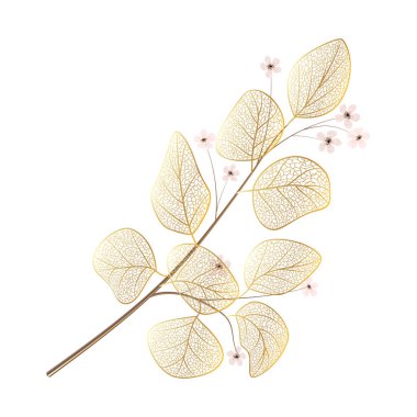 Güzel botanik fotoğrafı, doğal duvar kağıdı.