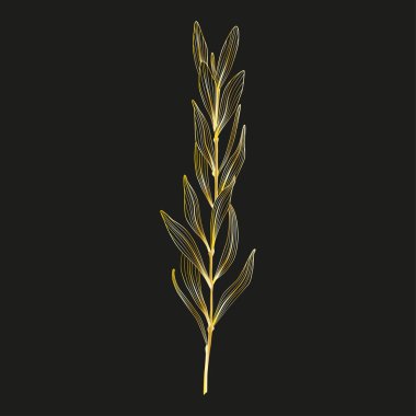 Güzel bir botanik arkaplanının vektör çizimi