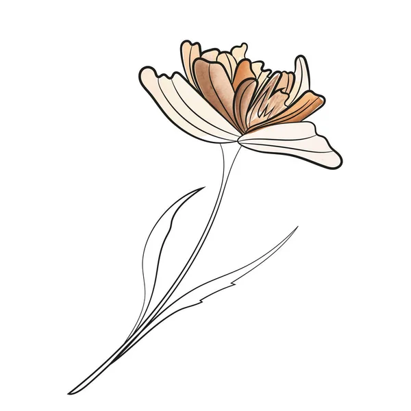 Wektor Ilustracja Piękny Ogród Botaniczny Kwiat — Wektor stockowy