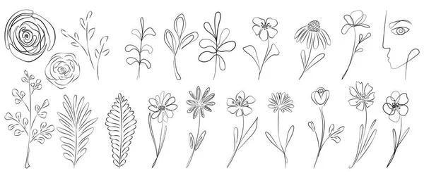 Set Hand Drawn Flowers Leaves Floral Elements Botanical Illustration Vector — 图库矢量图片