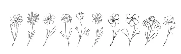 Sada Ručně Kreslených Květin Vektorová Ilustrace — Stockový vektor