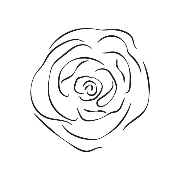 Illustration Vectorielle Une Belle Fleur Rose — Image vectorielle