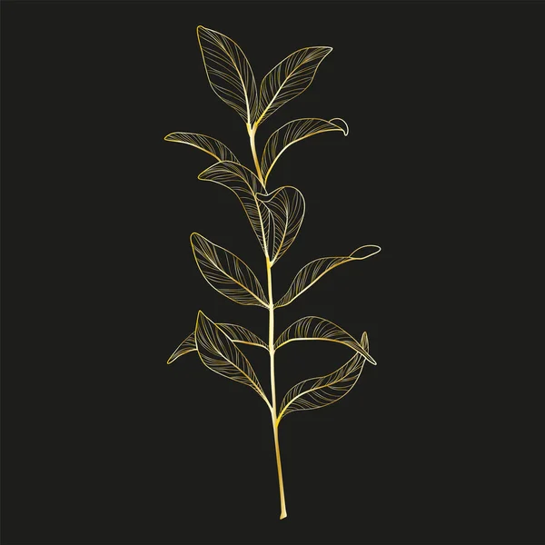 Vector Illustration Branch Plant Black Background — 스톡 벡터