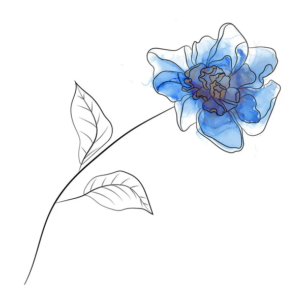 Beautiful Botanical Floral Pattern Hand Drawn Illustration — Stockvektor