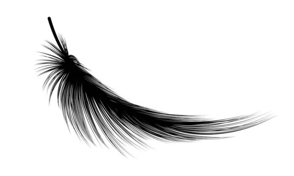 Pluma Aislada Sobre Fondo Blanco — Vector de stock