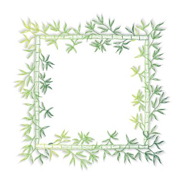 Yaprakları ve dalları olan suluboya bir çerçeve. vektör illüstrasyonu