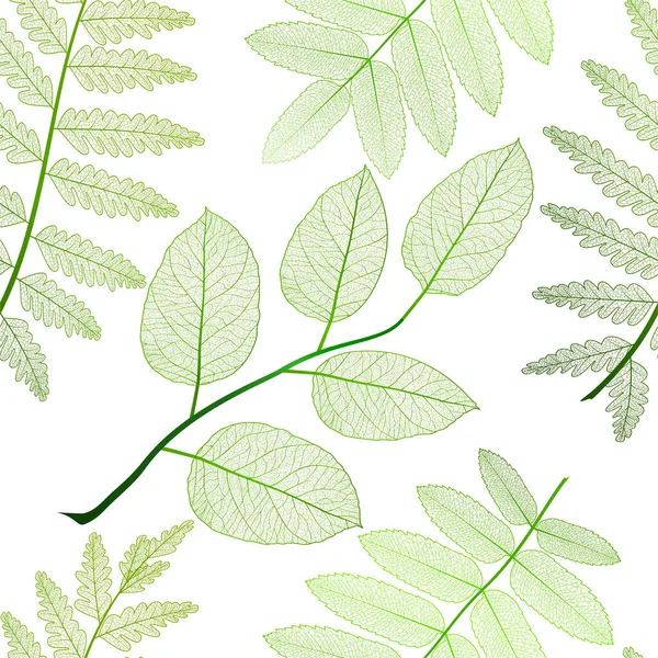 Seamless Pattern Hand Drawn Leaves Vector Illustration — Stock Photo, Image