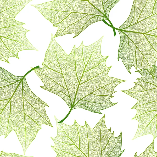 Green Leaves Isolated White Background — Stock Photo, Image