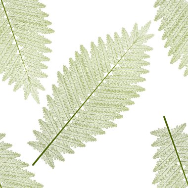 Yaprak deseni. vektör illüstrasyonu.