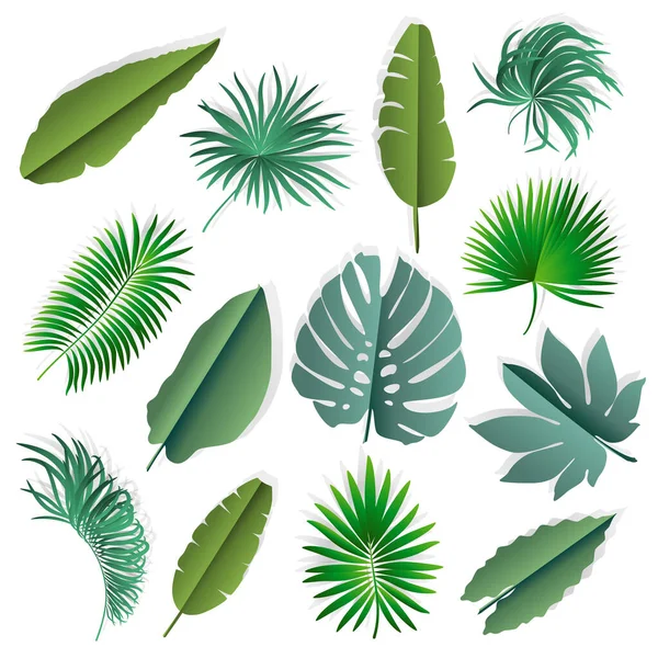 Бумажные Пальмовые Листья Векторная Иллюстрация — стоковый вектор