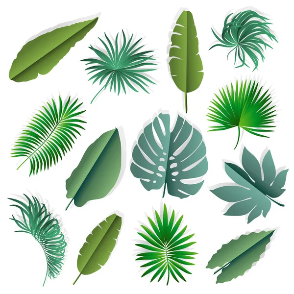  Set of paper palm leaves. Vector illustration.