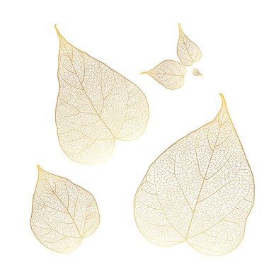 Beyaz üzerine altın yapraklar. Vektör illüstrasyonu.