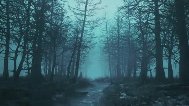 어두운 숲 속을 활보하며 — 비디오