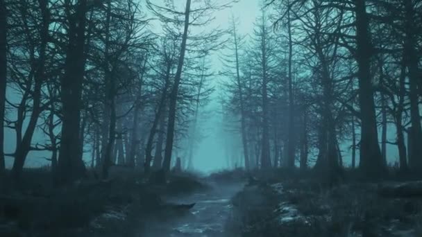 어두운 밤 숲을 날으는 느린 루프 — 비디오