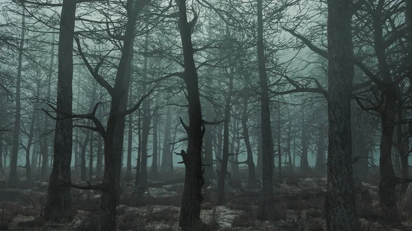 3d renderowanie ponury dzień widok strony lasu — Zdjęcie stockowe