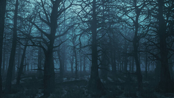 3d render gloomy night forest side view 4k