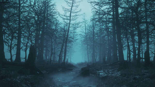 3d render of a night scary forest with fog in 4k