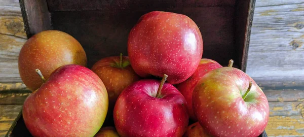 Ripe Red Apples Wooden Box Apples Old Chest Juicy Apples — Stock Photo, Image