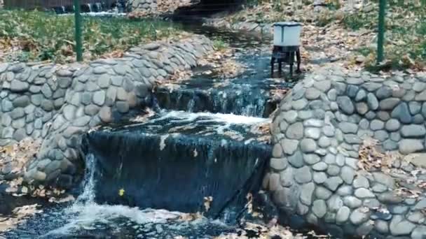 Uma Pequena Cachoeira Decorativa Parque Jardim Projeto Paisagístico Ucrânia Kharkiv — Vídeo de Stock