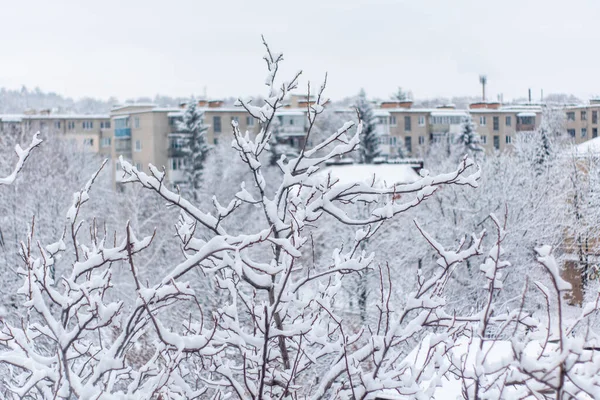 Beautiful Winter Lot White Snow Winter Ukraine Ukraine City Izium — стоковое фото